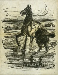 Cavaliere nudo sulla spiaggia